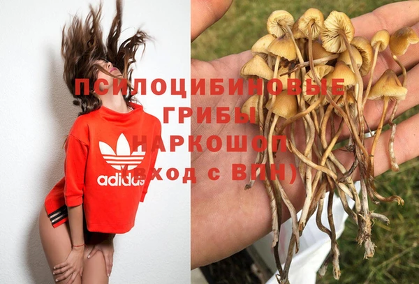 индика Абинск