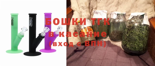 индика Абинск