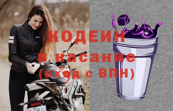 индика Абинск