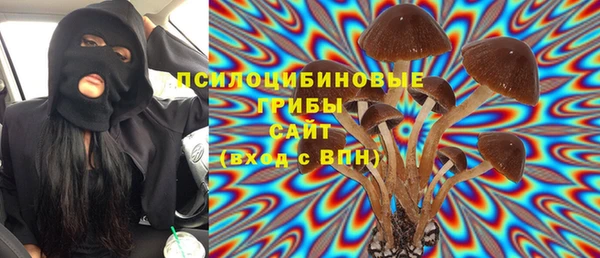 Альфа ПВП Алексин