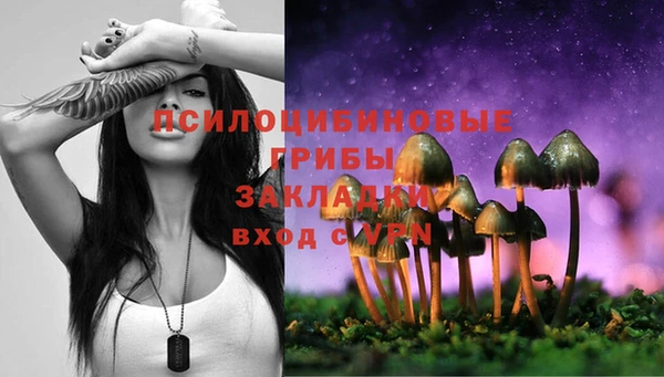 трава Абаза