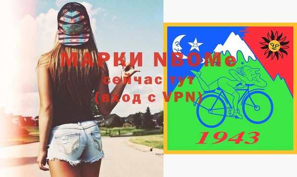 индика Абинск