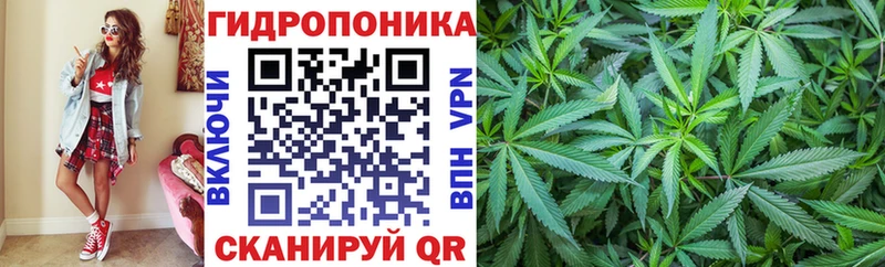 Каннабис Bruce Banner блэк спрут рабочий сайт Сухиничи